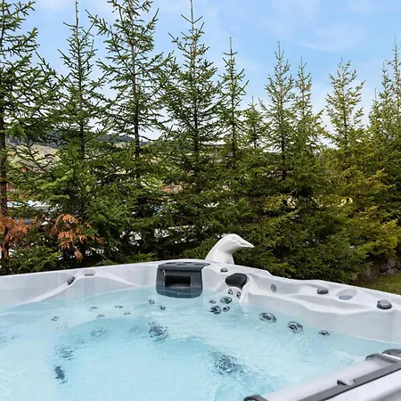 Mozart - Chalets Pour 12 Personnes 604